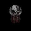Jason Redman's "No Bad Days" skull and flag t-shirt design